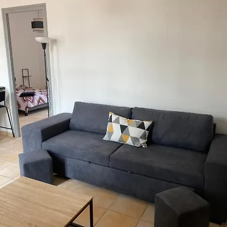 Liberte 2 -spacieux Proche Polygone Et Centre - - Wifi - Tv Connecte 公寓