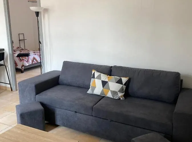 Liberte 2 -spacieux Proche Polygone Et Centre - - Wifi - Tv Connecte Appartement